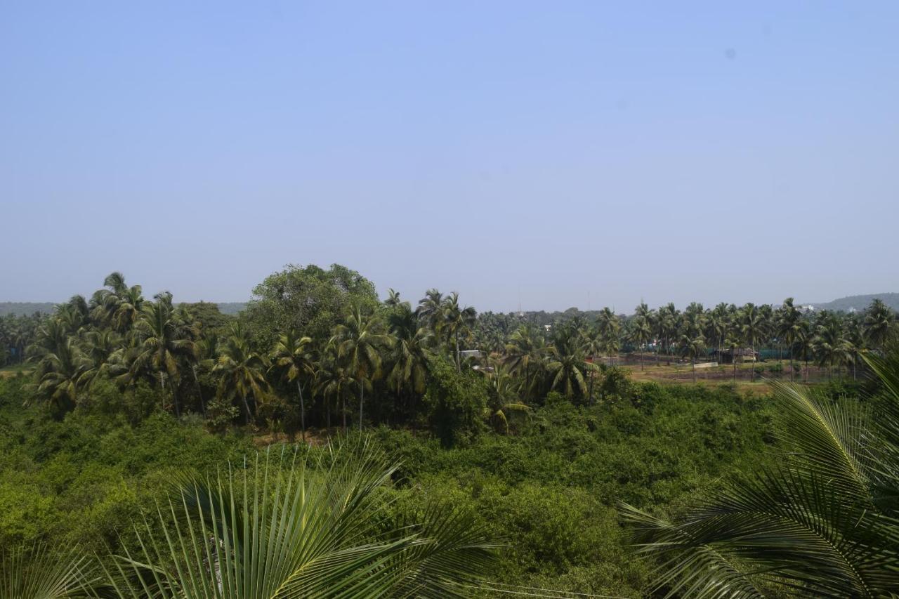 Spirithouse Hostel Arambol Luaran gambar