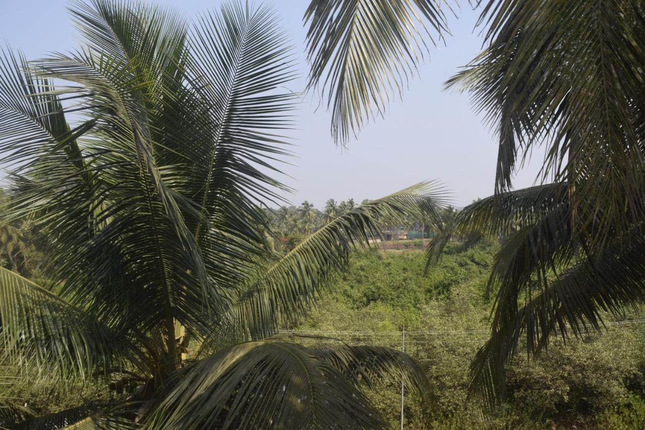 Spirithouse Hostel Arambol Luaran gambar