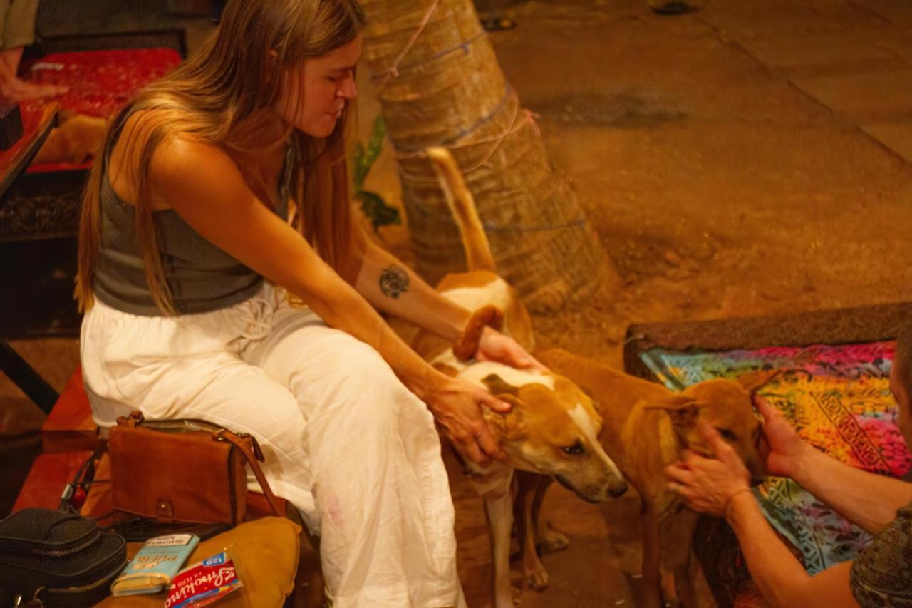 Spirithouse Hostel Arambol Luaran gambar